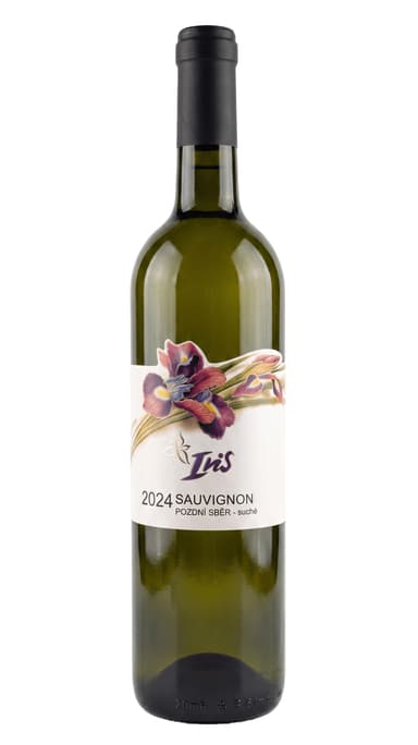 Sauvignon 2024 pozdní sběr suché